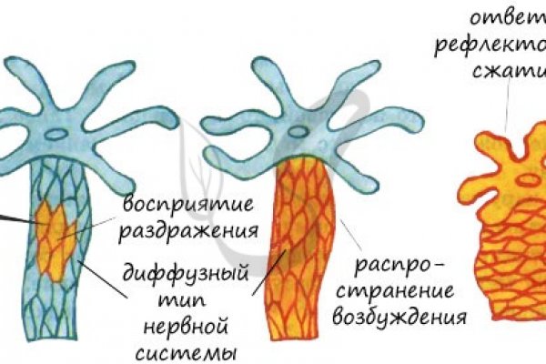 Kraken зеркала gigageek ru