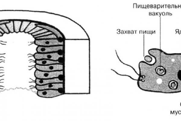 Кракен как войти через тор